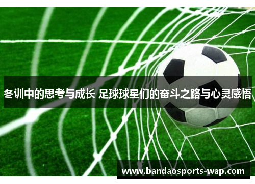 冬训中的思考与成长 足球球星们的奋斗之路与心灵感悟