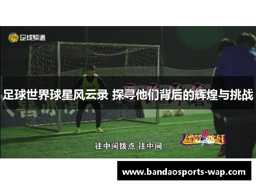 足球世界球星风云录 探寻他们背后的辉煌与挑战
