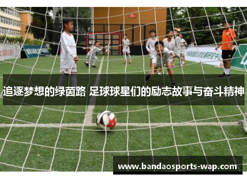 追逐梦想的绿茵路 足球球星们的励志故事与奋斗精神