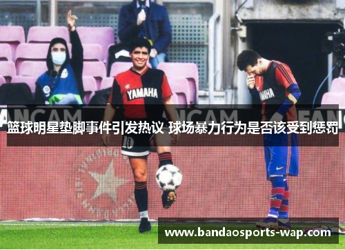 篮球明星垫脚事件引发热议 球场暴力行为是否该受到惩罚