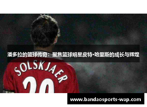 潘多拉的篮球传奇：聚焦篮球明星皮特·哈里斯的成长与辉煌